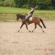 DSP Nørlunds Eileen