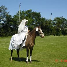 Knabstrupper Roosgårdens Frønse *redet