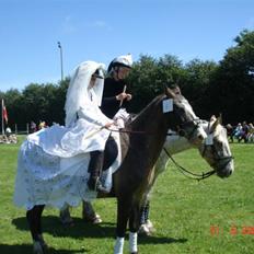 Knabstrupper Roosgårdens Frønse *redet