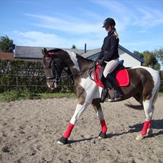 Anden særlig race Peanut<3