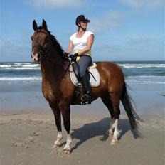 Anden særlig race Leslie