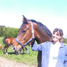 Anden særlig race Leslie