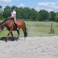 Anden særlig race Ari * R.I.P* :'(