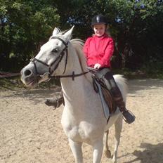 Anden særlig race dino boy " SOLGT "