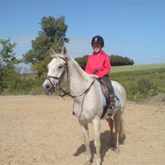 Anden særlig race dino boy " SOLGT "