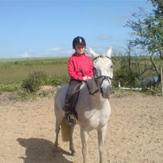 Anden særlig race dino boy " SOLGT "