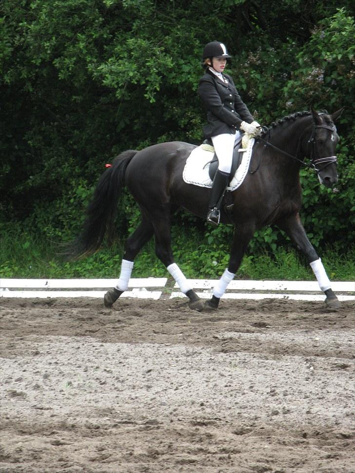 Oldenborg Honey billede 3