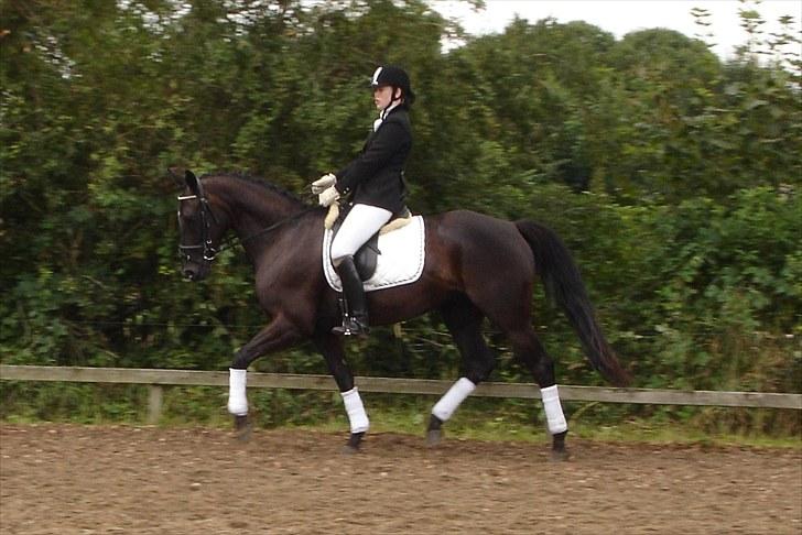 Oldenborg Honey billede 4