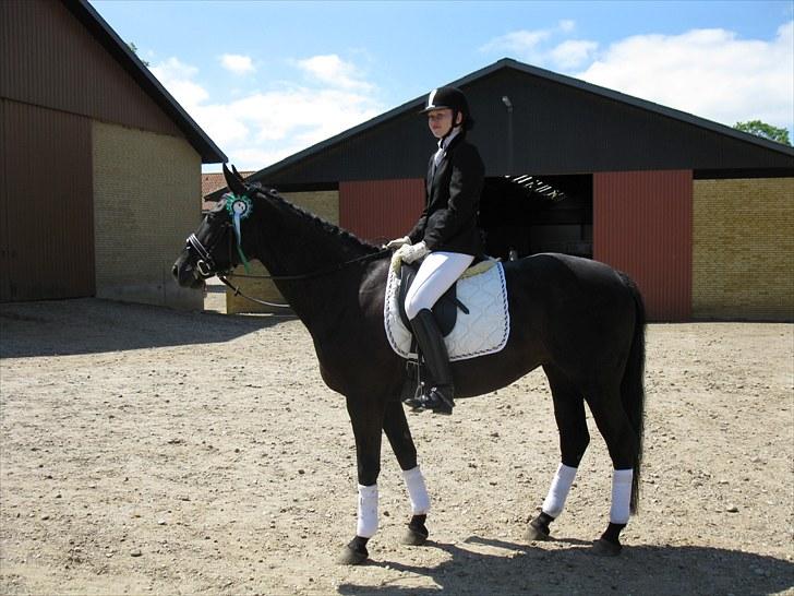 Oldenborg Honey billede 5