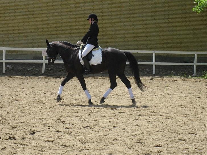 Oldenborg Honey billede 7