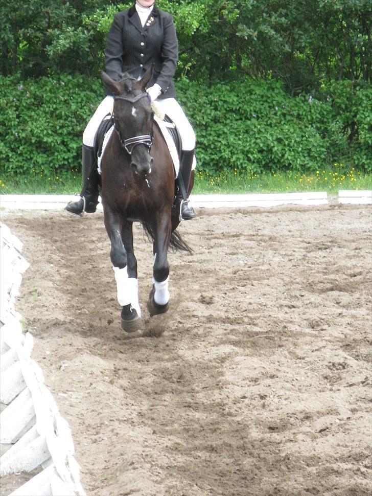 Oldenborg Honey billede 8