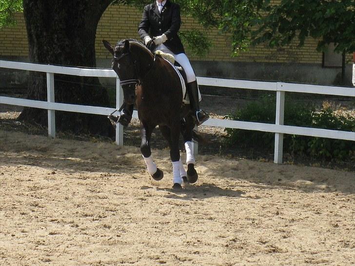 Oldenborg Honey billede 9