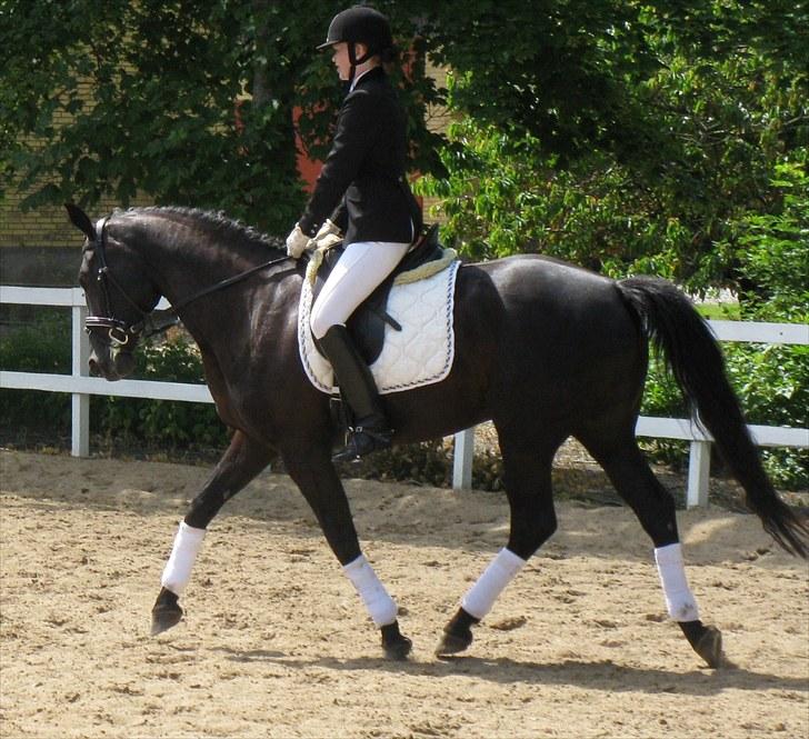 Oldenborg Honey billede 10