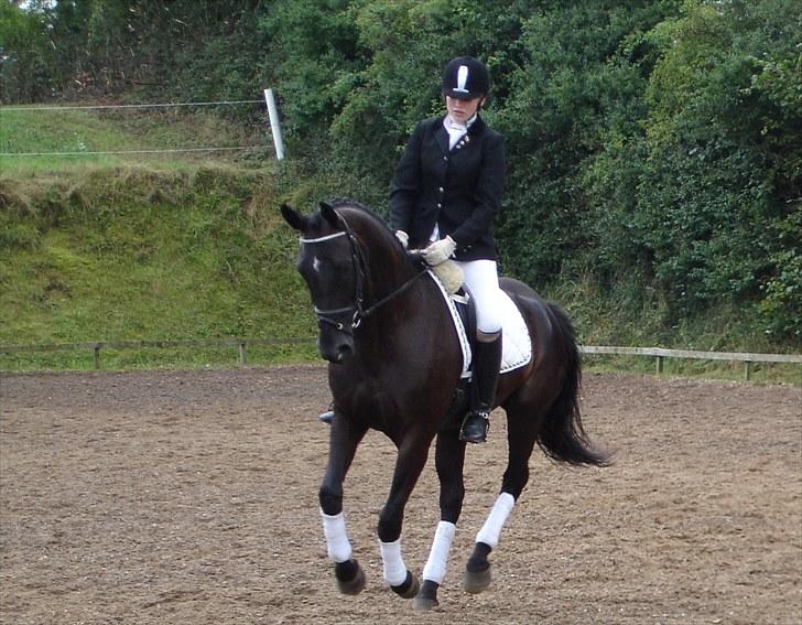 Oldenborg Honey billede 11