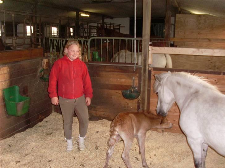 Anden særlig race Beauty Surprice  solgt billede 10