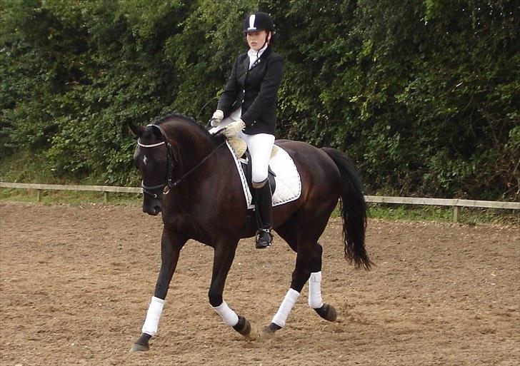 Oldenborg Honey billede 13