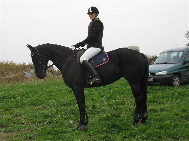 Oldenborg Honey billede 14