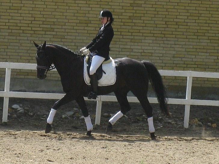 Oldenborg Honey billede 15