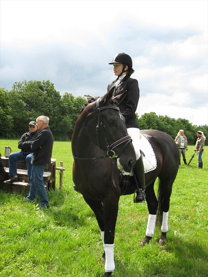 Oldenborg Honey billede 18