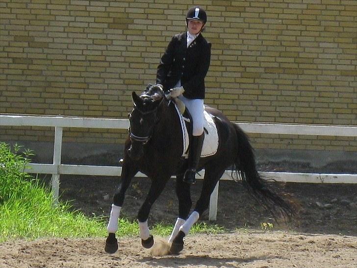 Oldenborg Honey billede 19