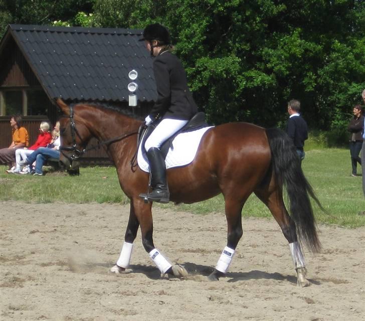 Traver Here To Stay - Opvarmning til LC1 i RIDO billede 15