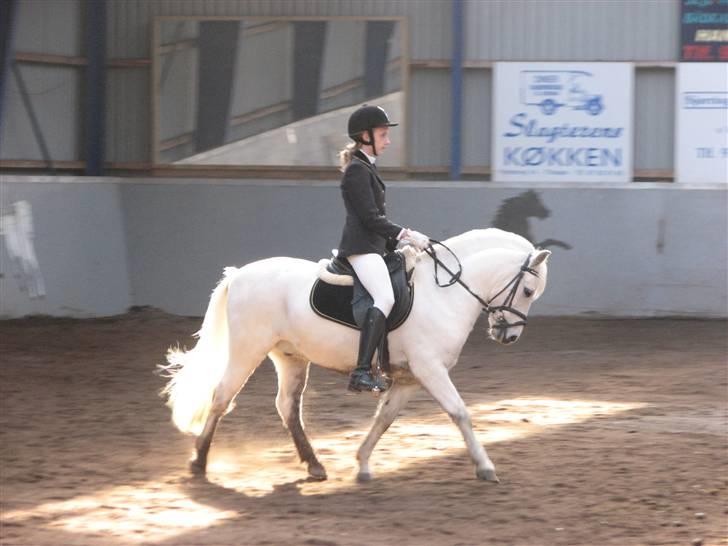 Anden særlig race Charlie Star billede 1