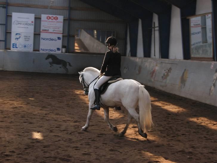 Anden særlig race Charlie Star - øgning (: billede 2