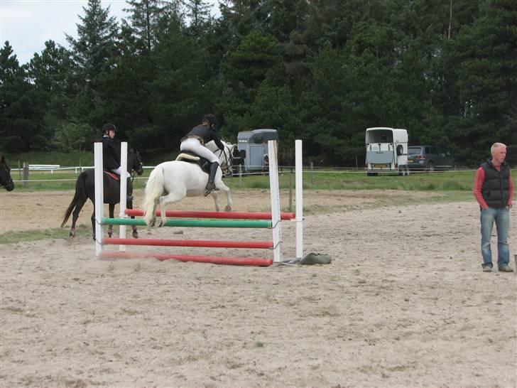 Anden særlig race Charlie Star - Stævne i hundborg - opvarming billede 4