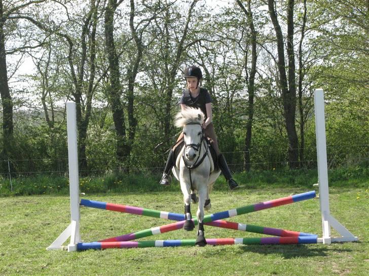 Anden særlig race Charlie Star billede 10