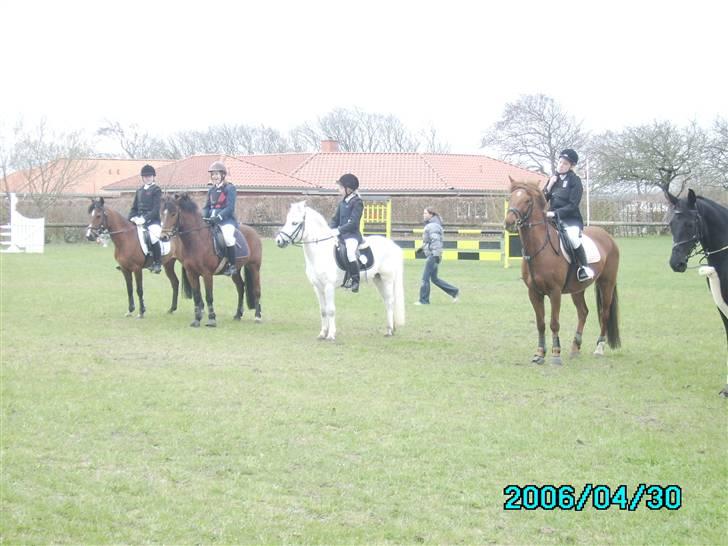 Anden særlig race Charlie Star - Stævne i Nordthy præmieoverrækkelse - første springstævne, jeg var SÅ stolt :´) 2006 billede 11