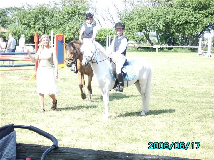 Anden særlig race Charlie Star - Stævne i Nordthy præmieoverrækkelse 2006 billede 13