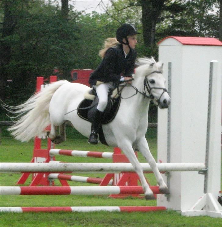 Anden særlig race Charlie Star - Stævne i Nordthy - lc 2006/2007 billede 14