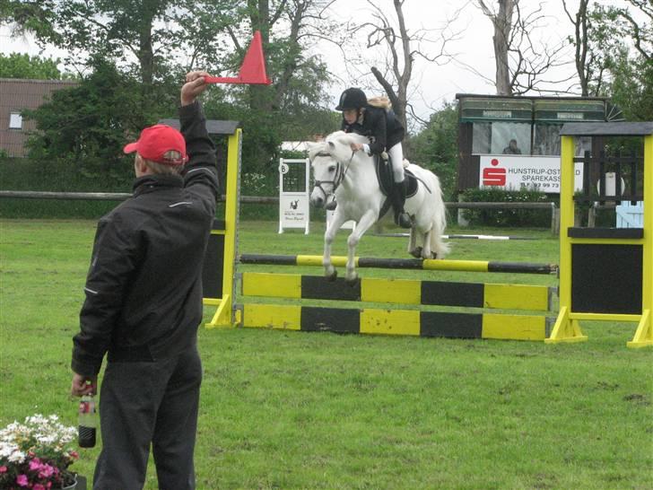 Anden særlig race Charlie Star billede 15