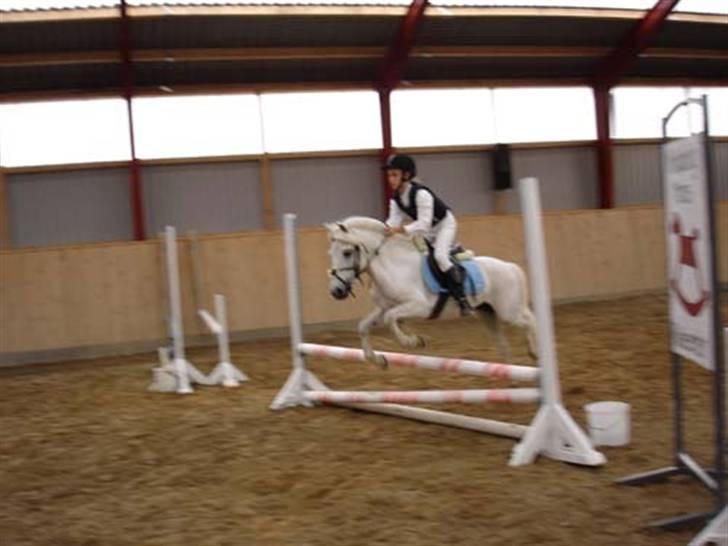 Anden særlig race Charlie Star - Stævne ved Hanne og Fritz - LD fejlfri og 1. plads 2007 billede 18