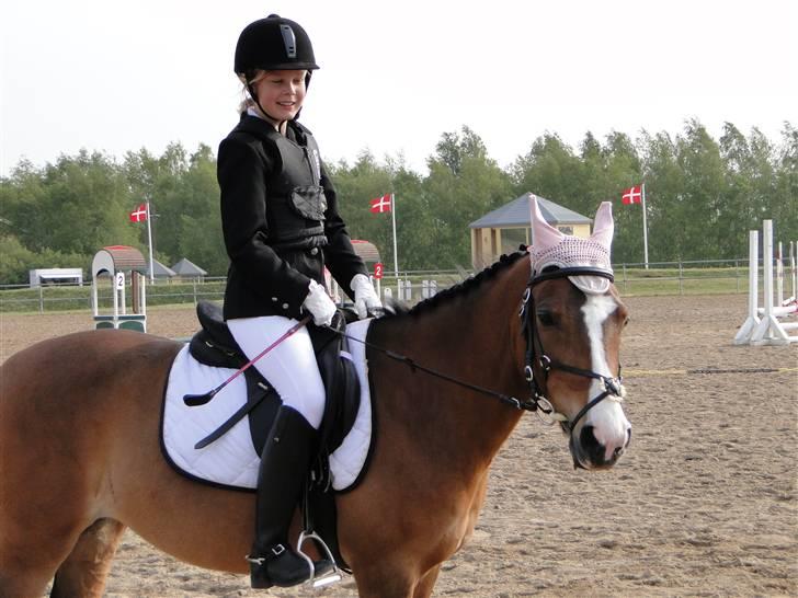 DSP Diba - !Dibba! billede 9