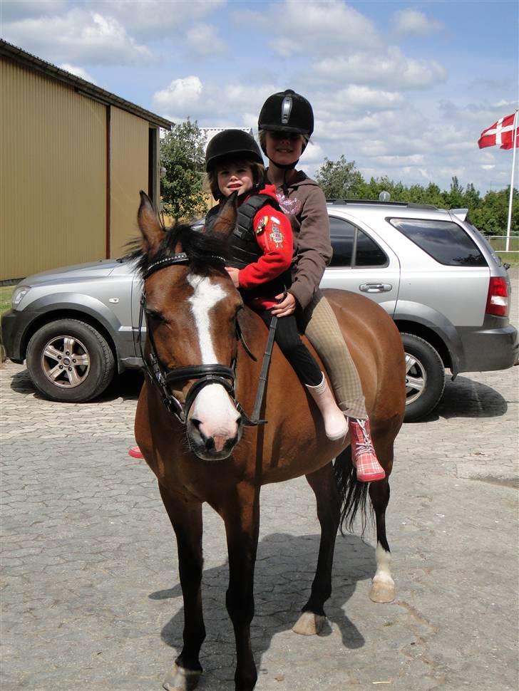 DSP Diba - Laise, Maja og Diba billede 10