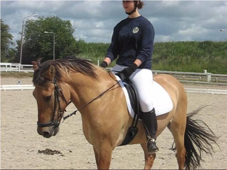 Anden særlig race Terkel, part :) - Stævne 20/6 09, 1. plads i LC1 og senere 3. plads i LC2 :D billede 5