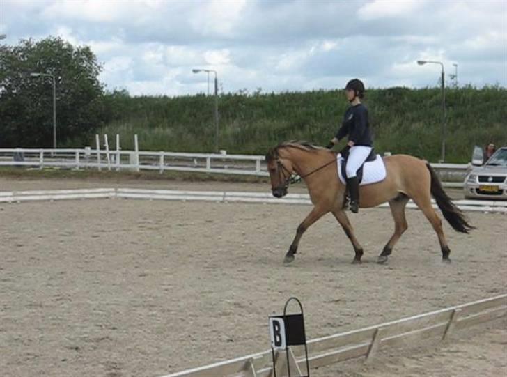 Anden særlig race Terkel, part :) - Stævne 20/6 09, 1. plads i LC1 og senere 3. plads i LC2 :D billede 6