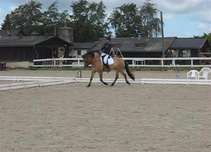Anden særlig race Terkel, part :) - Stævne 20/6 09, 1. plads i LC1 og senere 3. plads i LC2 :D billede 7