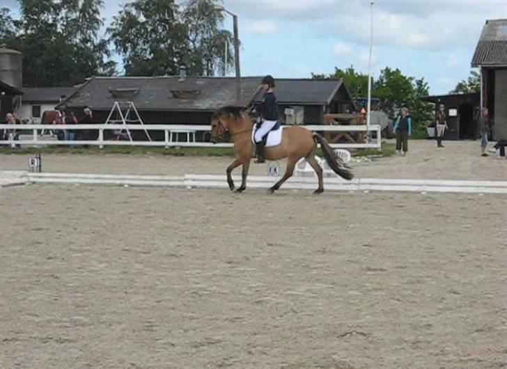 Anden særlig race Terkel, part :) - Stævne 20/6 09, 1. plads i LC1 og senere 3. plads i LC2 :D billede 8