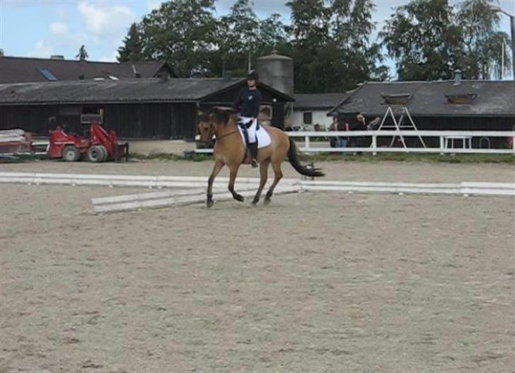 Anden særlig race Terkel, part :) - Stævne 20/6 09, 1. plads i LC1 og senere 3. plads i LC2 :D billede 9