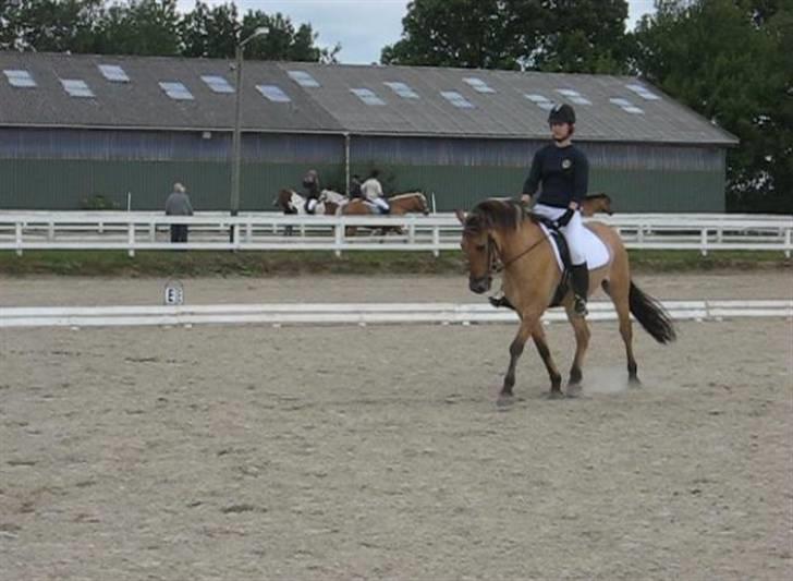 Anden særlig race Terkel, part :) - Stævne 20/6 09, 1. plads i LC1 og senere 3. plads i LC2 :D billede 10