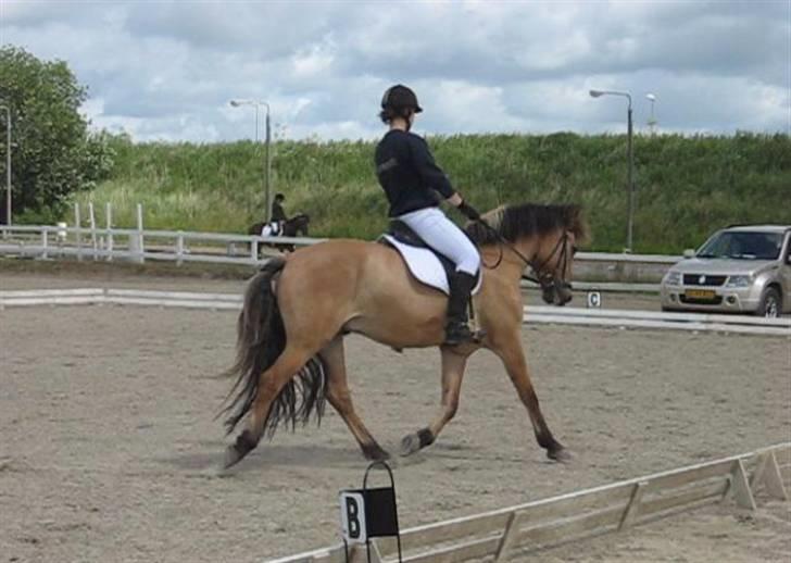 Anden særlig race Terkel, part :) - Stævne 20/6 09, 1. plads i LC1 og senere 3. plads i LC2 :D billede 11