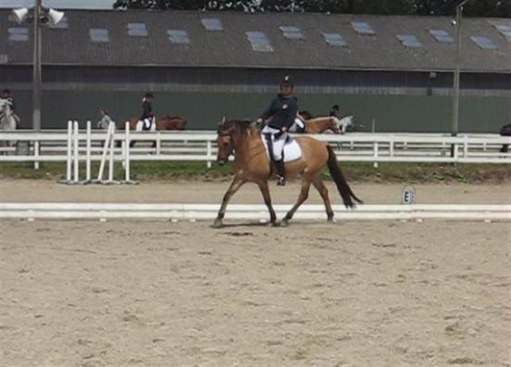 Anden særlig race Terkel, part :) - Stævne 20/6 09, 1. plads i LC1 og senere 3. plads i LC2 :D billede 12