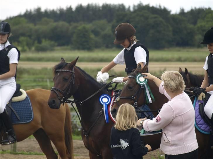 Anden særlig race lucky star billede 8