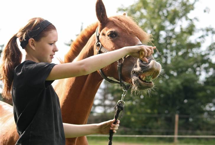 Anden særlig race Destiny billede 3