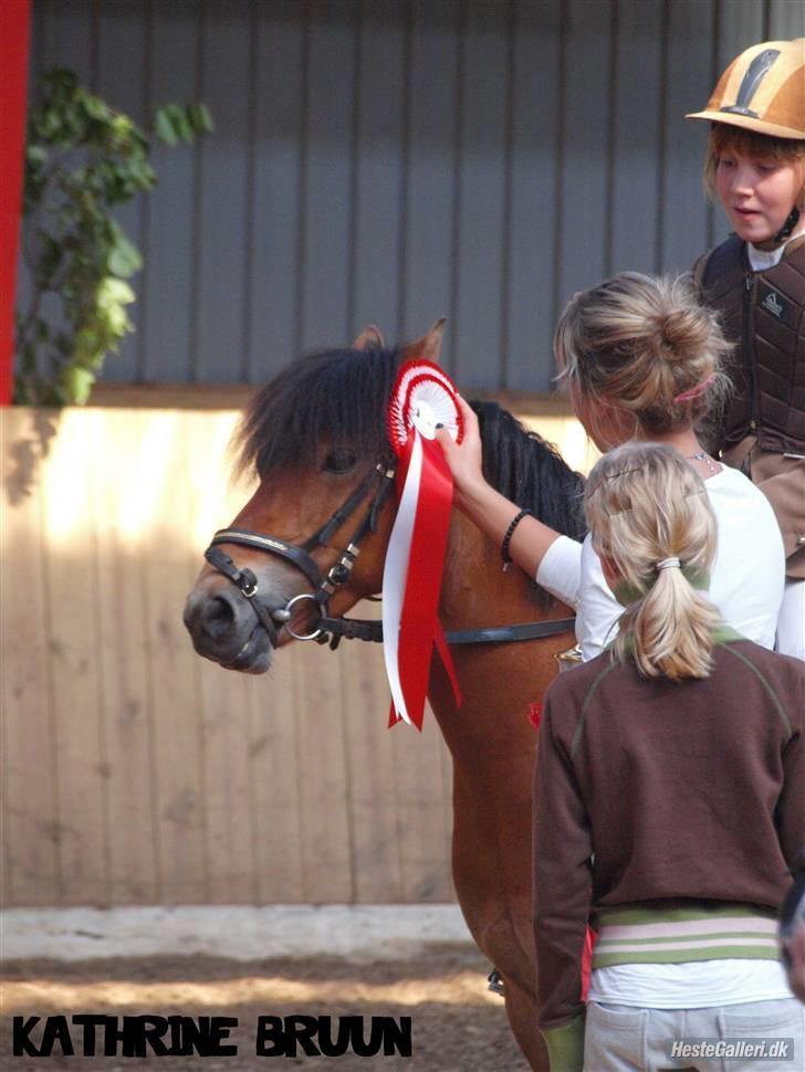 Anden særlig race Jasmin :) - Klubmesterskab 09 - Taget af Kathrine Bruun :) billede 12