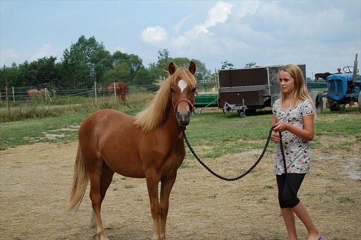 Anden særlig race Valbjerggaard's Casiopaia - Smukke tøz (: billede 4
