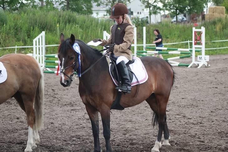 Anden særlig race Palle - TIL SOLGT billede 15