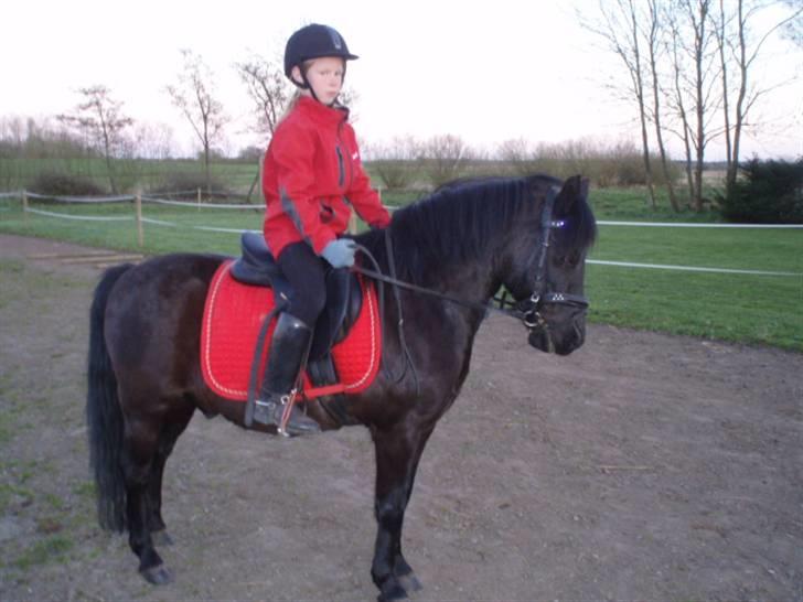 Anden særlig race R.I.P Robin<3<3 - Træning på Robin.<33 billede 10